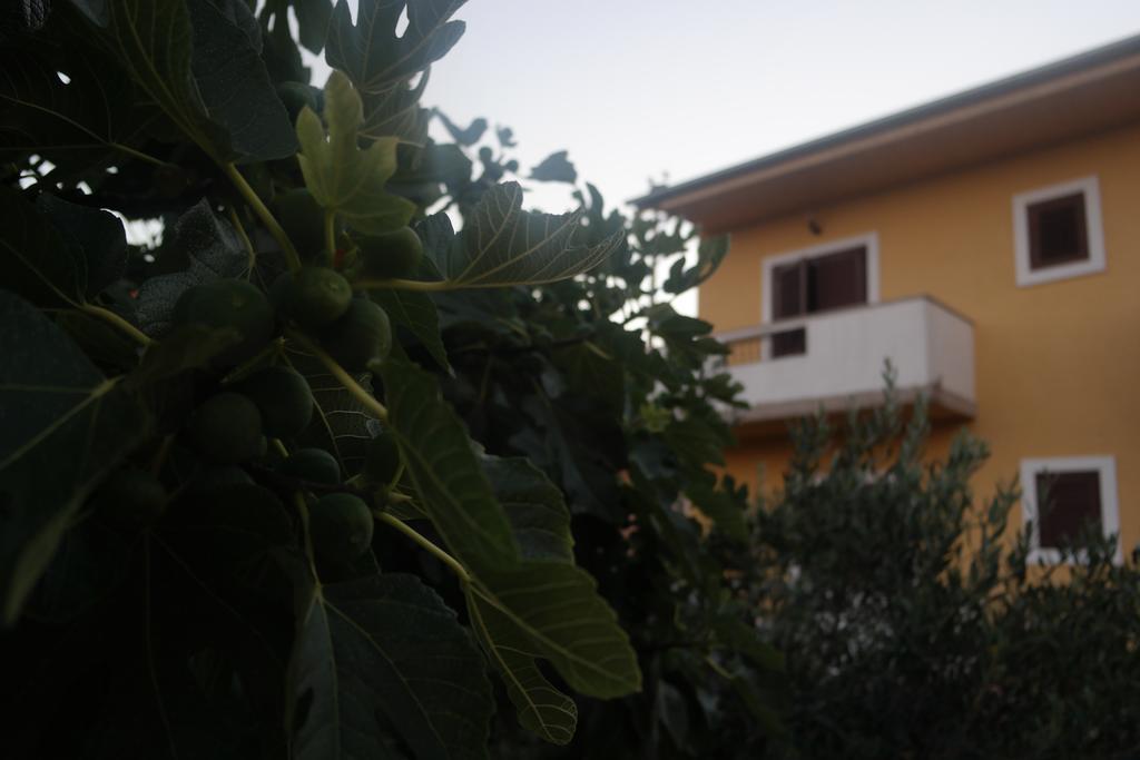 Apartment Lavanda
